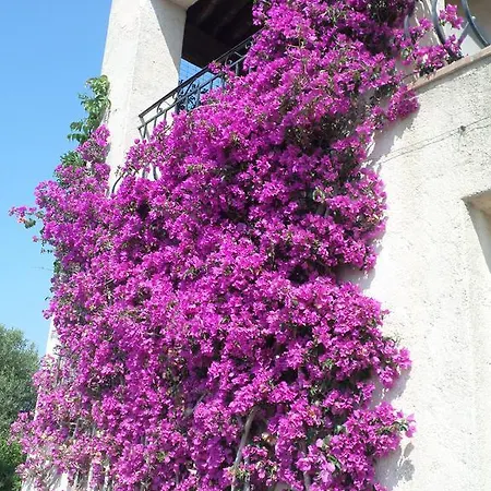 Grand Baie Διαμέρισμα Saint-Raphaël